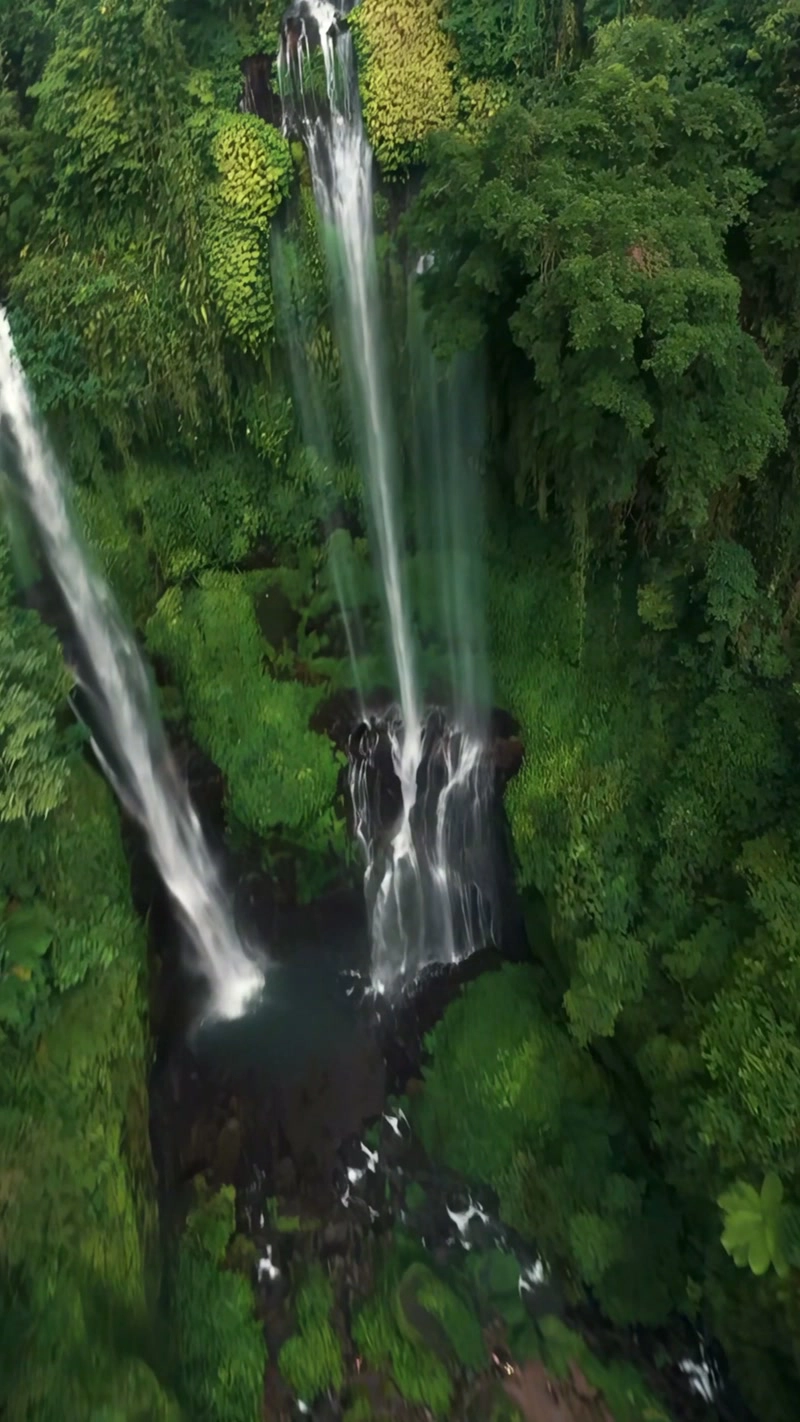 Soaring over waterfalls and rainforests